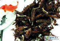 玉兰花的药用价值 消痰、益肺、和气的自然之作