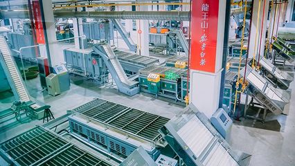茶叶加盟 如何选择靠谱品牌与抓住致富机会